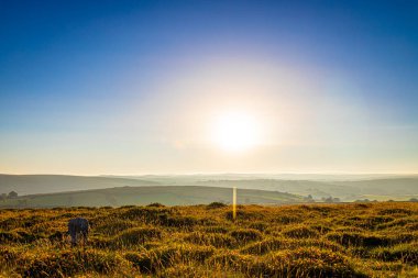 Akşamları Dartmoor Milli Parkı manzarası, İngiltere