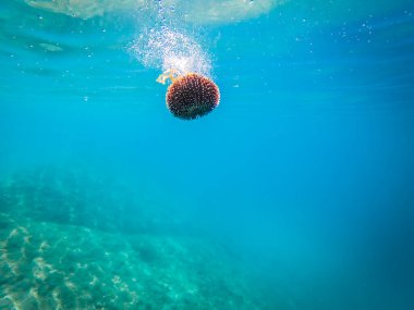 C:\ DCIM\ 102GOPRO\ GOPRO\ GOPRO\ GOPR1173.GPR