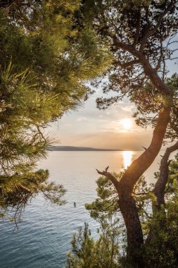Yazın Adriyatik deniz manzarası