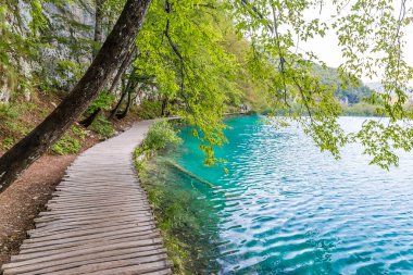 Hırvatistan 'da Plitvice göllerinin manzarası