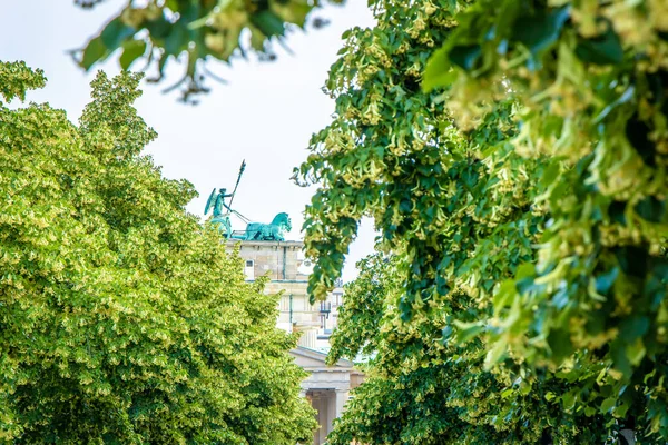 Бранденбургские Ворота Летний День Берлин — стоковое фото