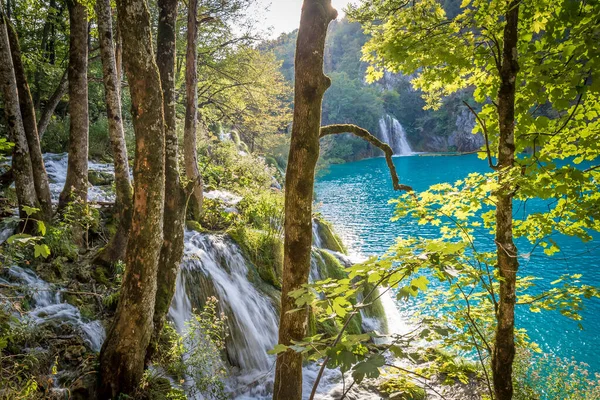 Vista Dos Lagos Plitvice Croácia — Fotografia de Stock