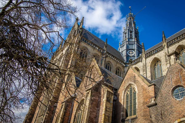 Классический Готический Собор Святого Баво Харлеме Нидерланды — стоковое фото