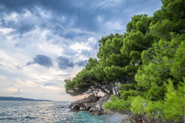 Yazın Adriyatik deniz manzarası