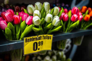 Hollanda, Amsterdam 'da Bloemenmarkt çiçek pazarı