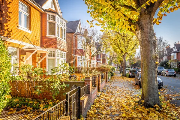 秋天的伦敦郊区奇斯威克 — 图库照片