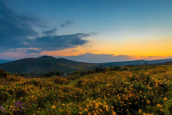 Sunset Kilátás Dartmoor Nemzeti Park Egy Hatalmas Lápvidék Devon Megyében — Stock Fotó