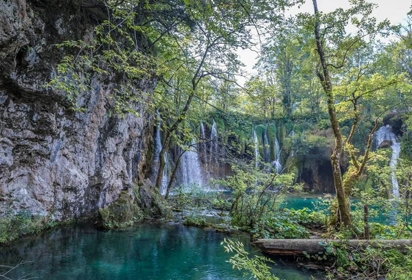 View Plitvice Tavak Horvátországban — Stock Fotó