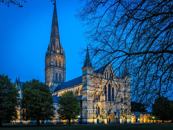 Alacakaranlıktaki Salisbury Katedrali Manzarası — Stok fotoğraf