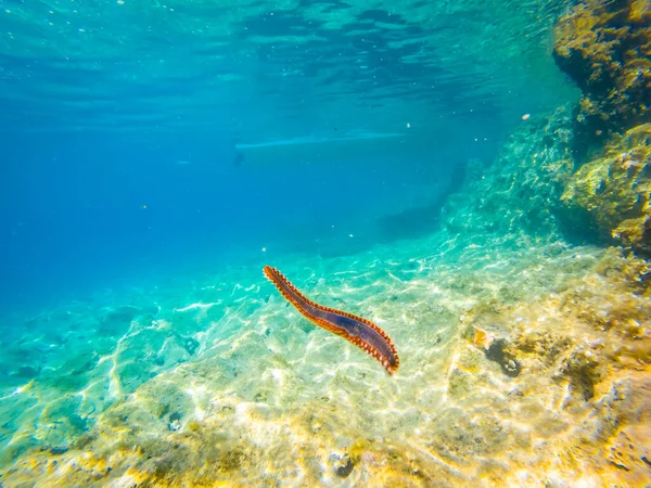 Mer Chaude Mer Adriatique Croatie — Photo