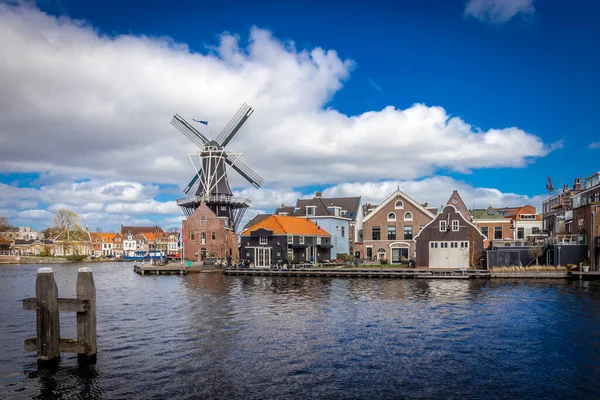 Класичний Вітряк Гарлемі Нідерланди — стокове фото