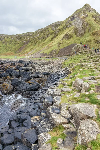 Giants Causeway Autumn Northern Ireland — Stock Photo, Image