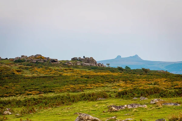 Vista Pôr Sol Dartmoor National Park Uma Vasta Charneca Condado — Fotografia de Stock