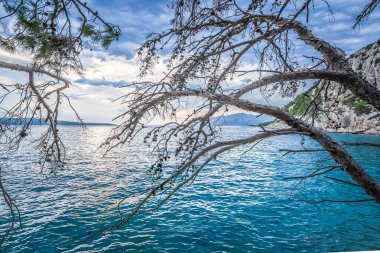 Yazın Adriyatik deniz manzarası