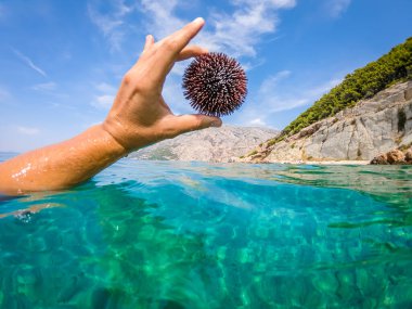 C:\ DCIM\ 101GOPRO\ GOPRO\ GOPRO\ GOPRO\ GOP0687.GPR