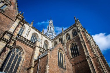 Hollanda, Haarlem 'deki St. Bavo' nun klasik gotik katedrali