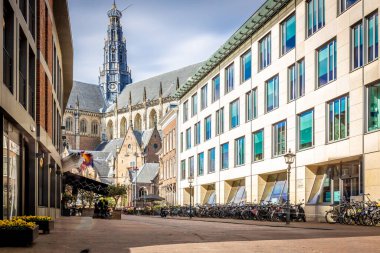 Hollanda, Haarlem 'deki St. Bavo' nun klasik gotik katedrali