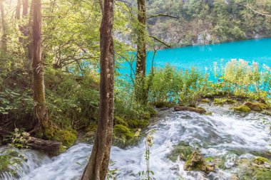 Hırvatistan 'da Plitvice göllerinin manzarası