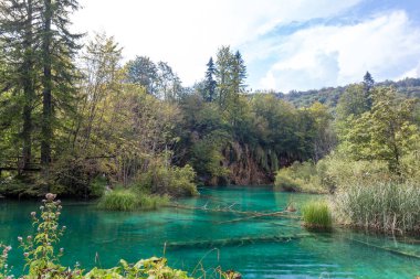 Hırvatistan 'da Plitvice göllerinin manzarası
