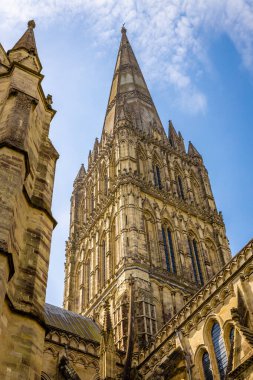 Güneşli bir günde Salisbury Katedrali