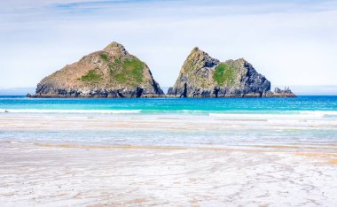 Güneşli bir günde Cornwall, İngiltere 'deki Hollywell Körfezi' nde martı sallanıyor.