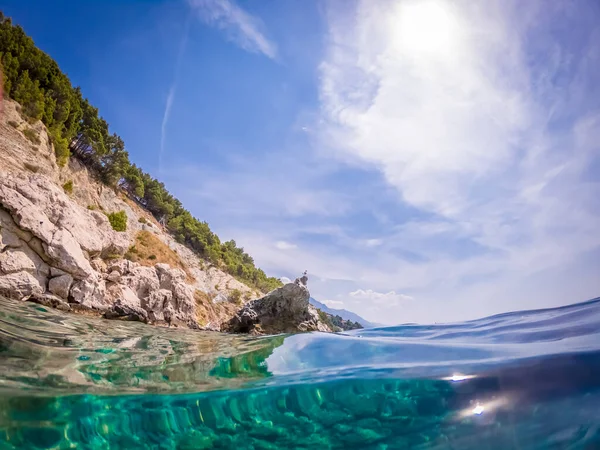 Adriyatik Denizinde Kayadaki Martı — Stok fotoğraf