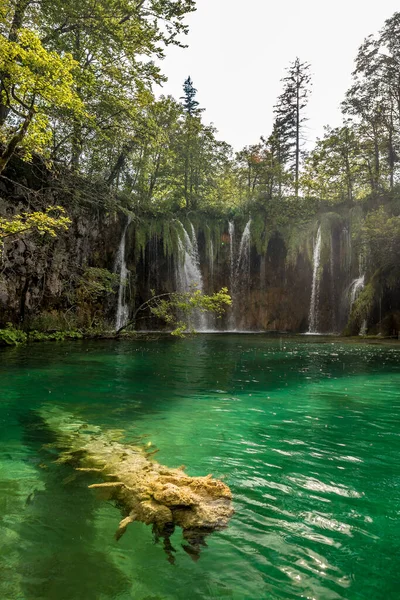 크로아티아의 플리트 호수의 — 스톡 사진