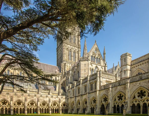 Salisbury Cathedral Sunny Day — Stock Photo, Image