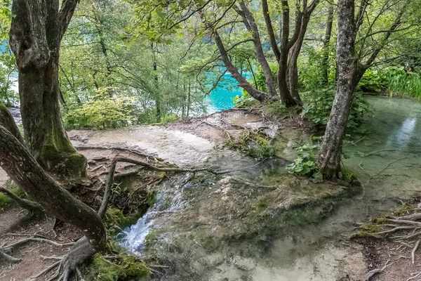 View Plitvice Tavak Horvátországban — Stock Fotó