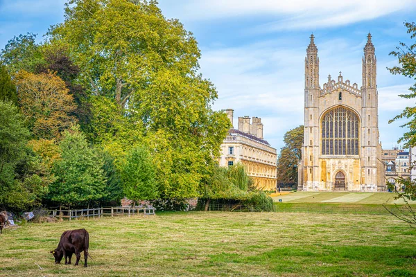 Vista Kings College Cambridge Reino Unido — Foto de Stock