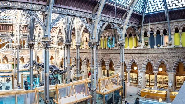 Naturhistorisches Museum Oxford — Stockfoto