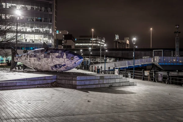 Dicke Fische Von Belfast Der Nacht — Stockfoto