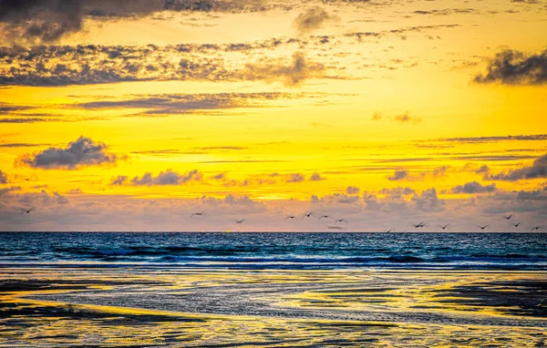 Gull Rocks Sunset Hollywell Bay Cornwall — Stock Photo, Image