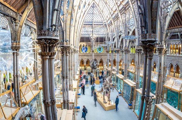 Museu História Natural Oxford — Fotografia de Stock