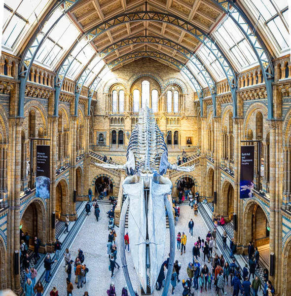 Vista Museu História Natural Londres — Fotografia de Stock