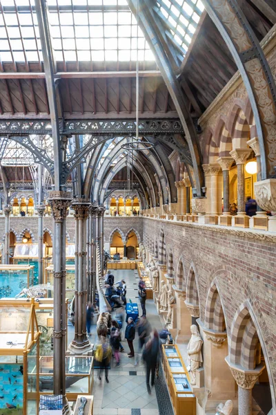 Natural History Museum Oxford — Stockfoto