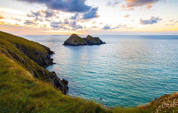 Racek Skály Při Západu Slunce Hollywell Bay Cornwall Velká Británie — Stock fotografie