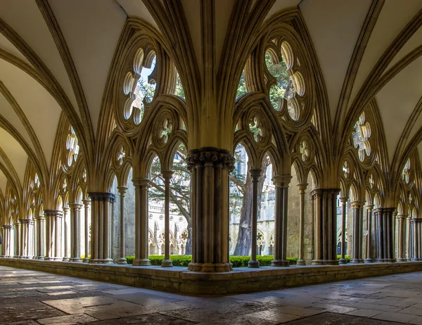 Interior Catedral Salisbury — Foto de Stock