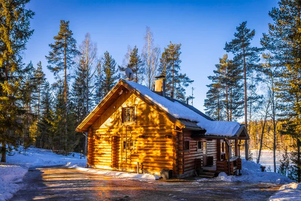 Maison Bois Dans Forêt Hiver — Photo