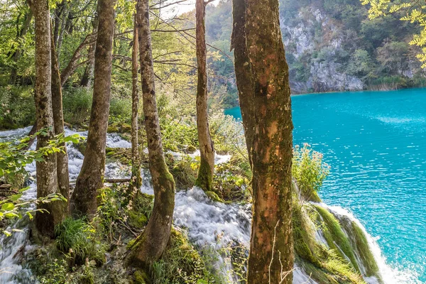 Vista Los Lagos Plitvice Croacia — Foto de Stock