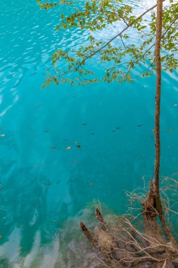 Hırvatistan 'da Plitvice göllerinin manzarası