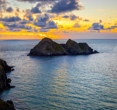 Martı gün batımında Cornwall, İngiltere 'deki Hollywell Körfezi' nde sallanıyor.
