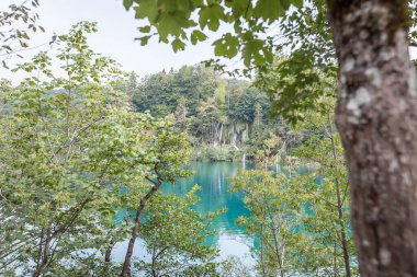 Hırvatistan 'da Plitvice göllerinin manzarası