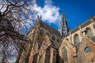 Hollanda, Haarlem 'deki St. Bavo' nun klasik gotik katedrali