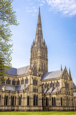 Güneşli bir günde Salisbury Katedrali