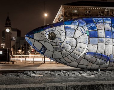 Gece vakti Belfast 'ın büyük balığı