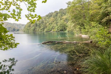 Hırvatistan 'da Plitvice göllerinin manzarası
