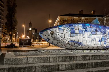 Gece vakti Belfast 'ın büyük balığı