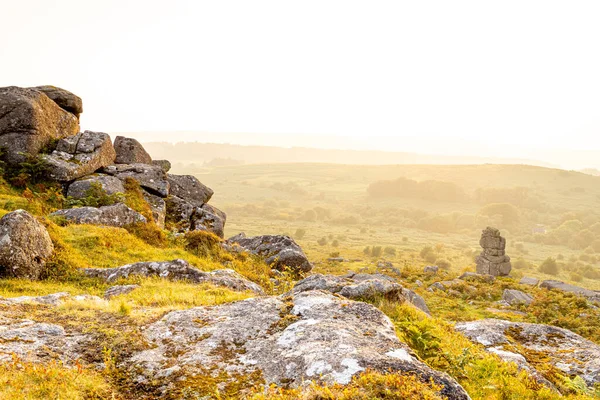 Blick Auf Bowermans Nase Dartmoor National Park Einem Riesigen Moorgebiet — Stockfoto