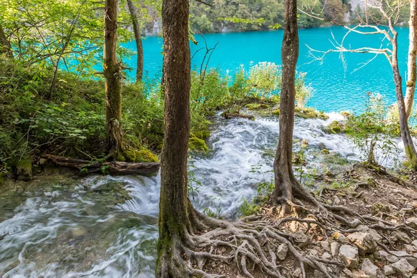 View Plitvice Tavak Horvátországban — Stock Fotó